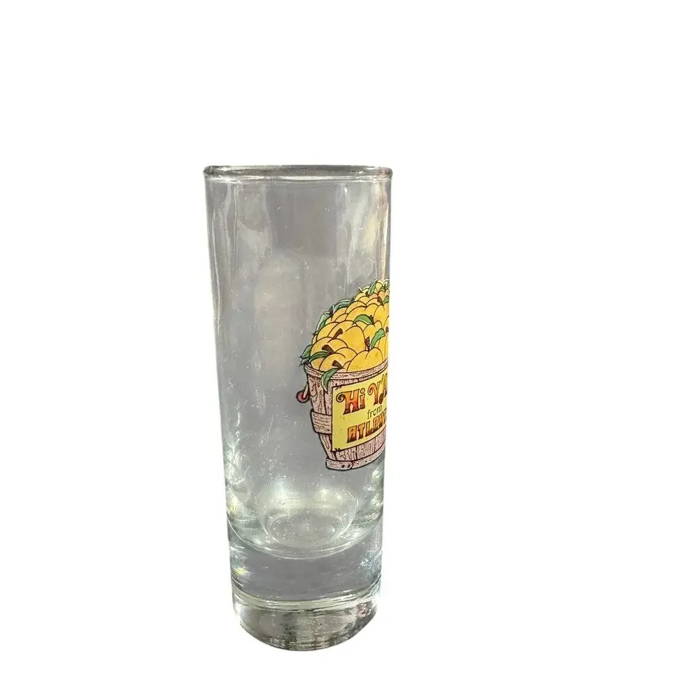 Hi Ya’ll From Atlanta Georgia Peaches Shooter Shot Glass Souvenir 4”